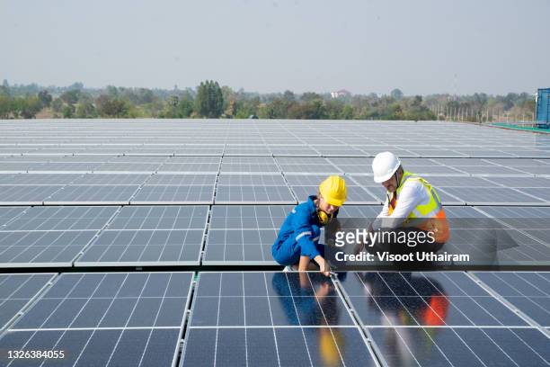 businessman and worker women examining photovoltaic panels. - australian people stock-fotos und bilder