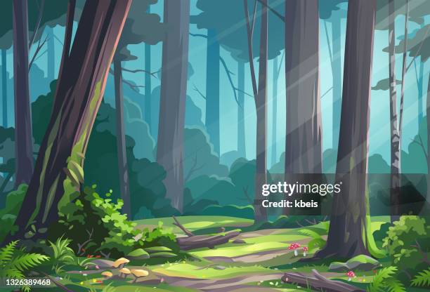ilustrações, clipart, desenhos animados e ícones de bela floresta iluminada por sol - tronco de árvore