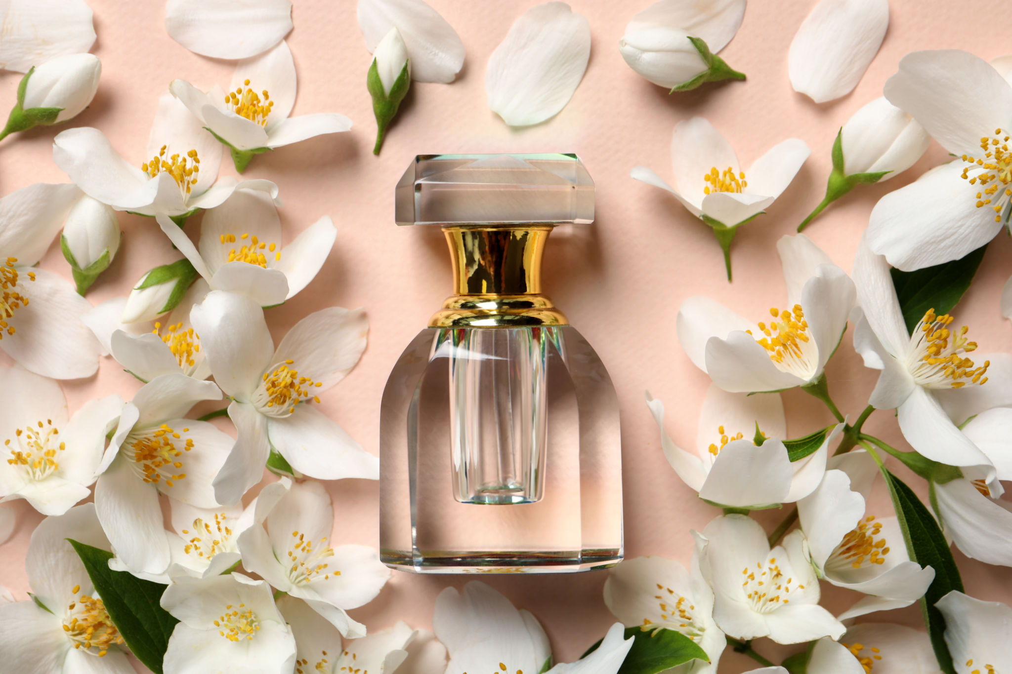 seasonal perfume