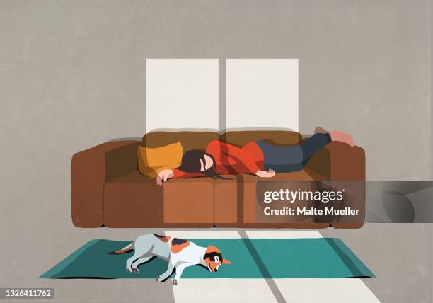 illustrazioni stock, clip art, cartoni animati e icone di tendenza di exhausted woman and dog sleeping on sofa and rug - sleep