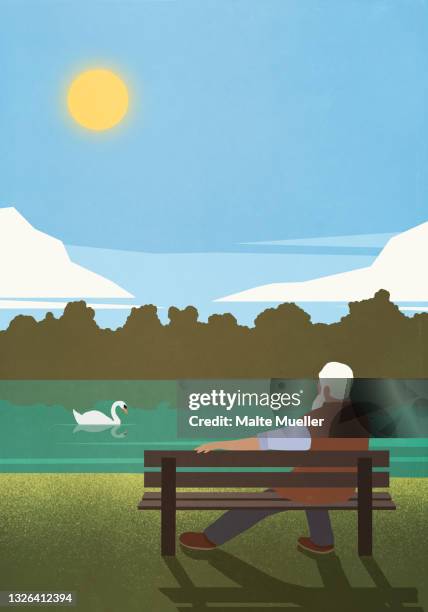 senior man relaxing on sunny park bench watching swan on pond - bench stock-grafiken, -clipart, -cartoons und -symbole