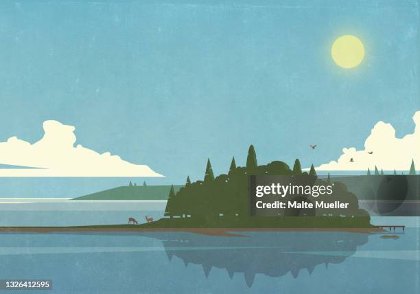 sunny scenic view of island lake - see stock-grafiken, -clipart, -cartoons und -symbole