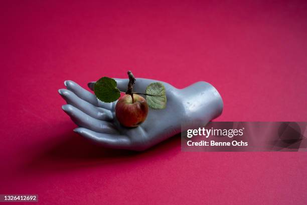 mannequin hand holding fresh red apple - veleiding stockfoto's en -beelden