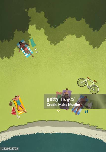 ilustrações, clipart, desenhos animados e ícones de aerial view people sunbathing in summer park grass - cobertor