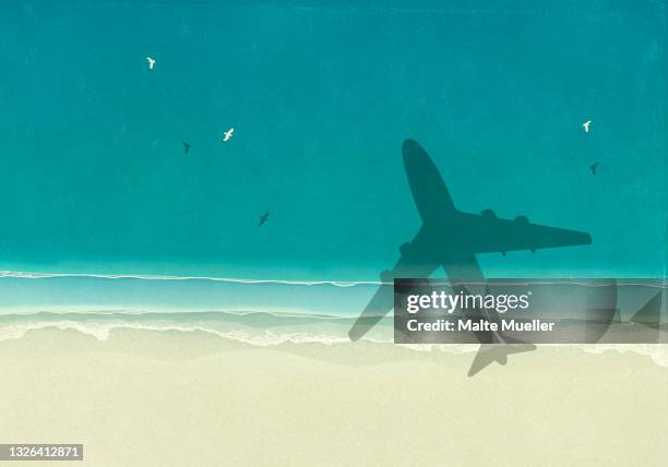 illustrations, cliparts, dessins animés et icônes de aerial view shadow of airplane over sunny blue ocean beach - ensoleillé