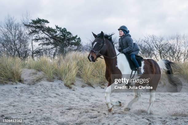 girl riding brown and white horse in sand - paint horse stock pictures, royalty-free photos & images