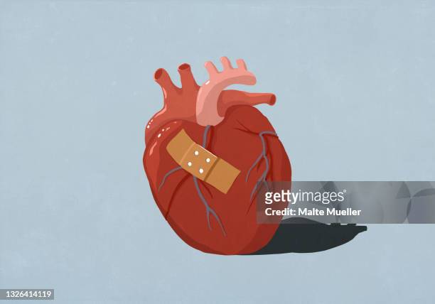 bildbanksillustrationer, clip art samt tecknat material och ikoner med bandage on human heart - brustet hjärta