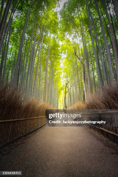 arashiyama bamboo forest - japanischer garten stock-fotos und bilder