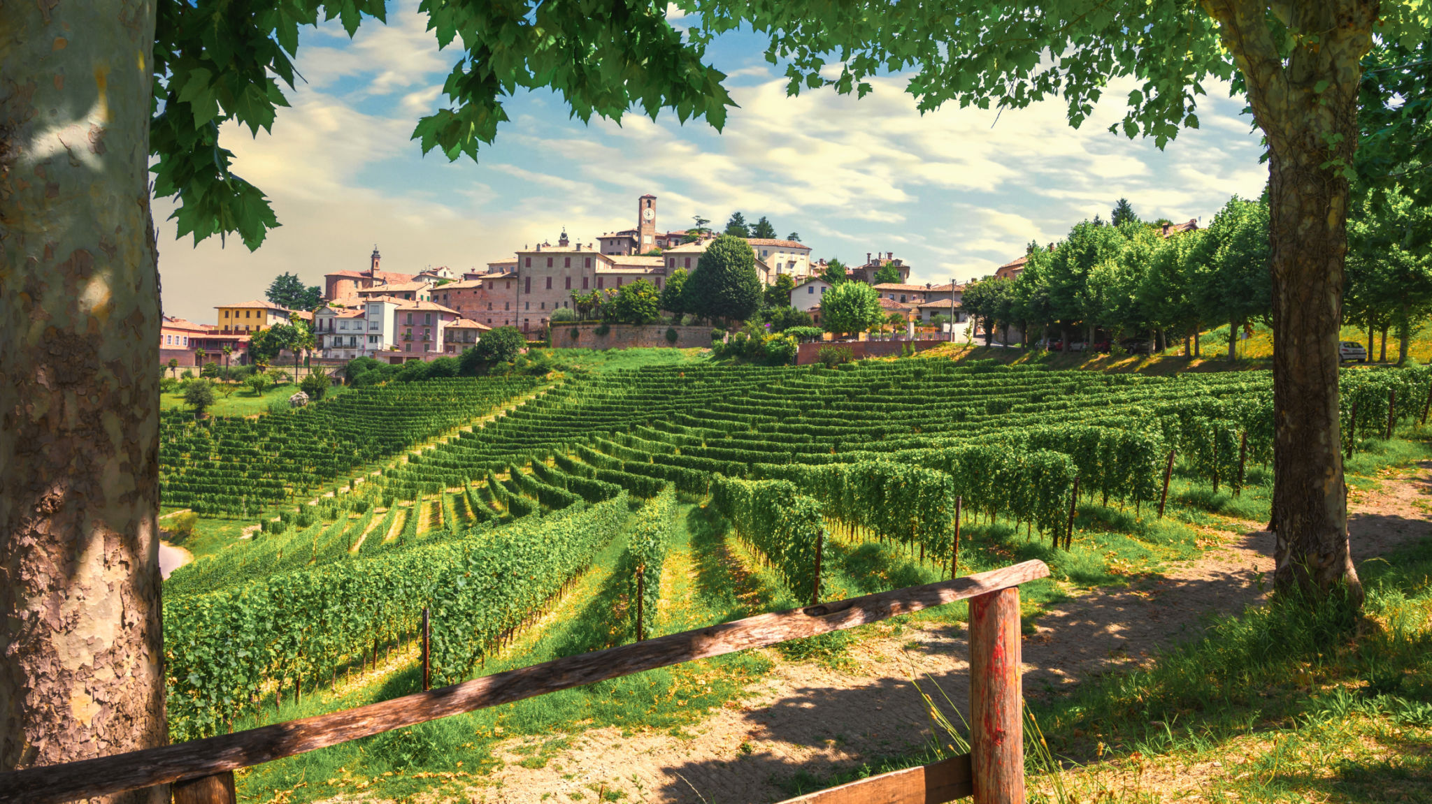italy vineyard tour