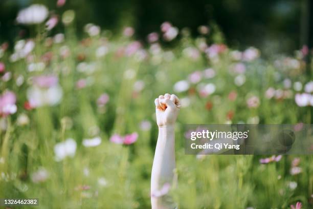 close-up of arms raised in the garden - change attitude stock pictures, royalty-free photos & images