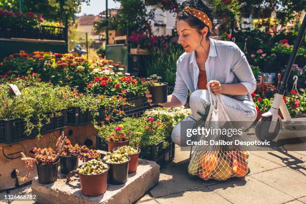 a woman in a flower market . - flower stall stock pictures, royalty-free photos & images