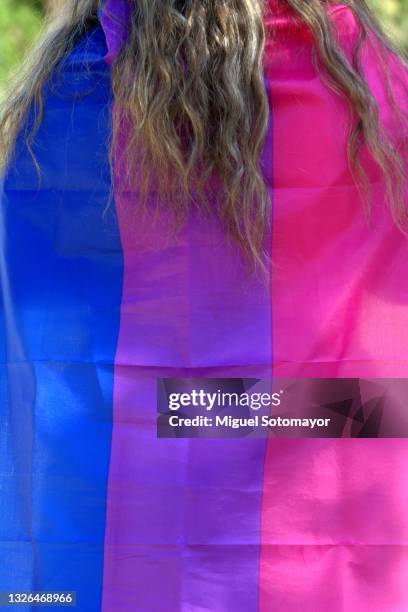 bisexual flag - gay flag stockfoto's en -beelden
