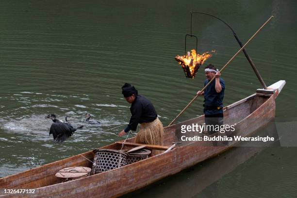 Cormorant fishing master puts a sea cormorant to water while he catches ayu or sweetfish during the practice of Ukai or night cormorant fishing on...