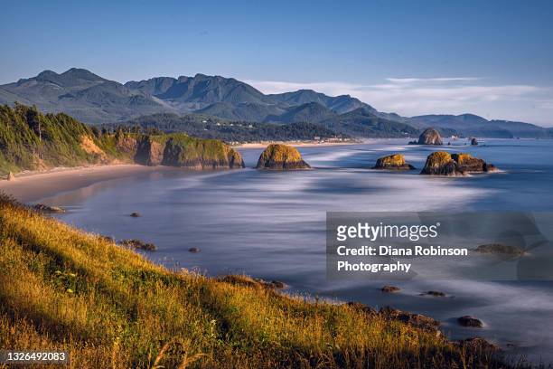 late afternoon light over cannon beach as seen from ecola state park, oregon coast. - cannon beach foto e immagini stock