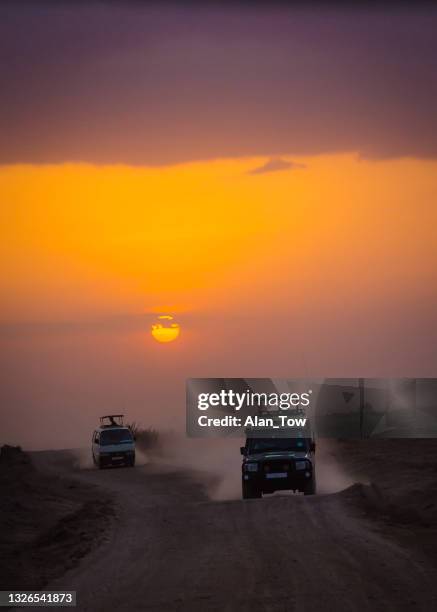 two 4x4 jeep kicking up dust on a safari when sunset view in amboseli national park, kenya - kenya safari stock pictures, royalty-free photos & images