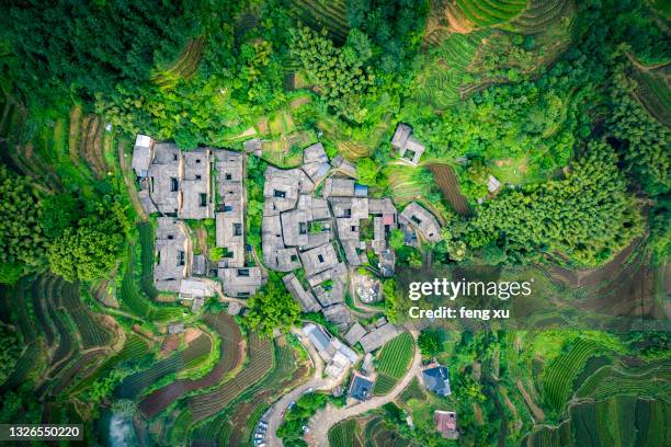 the largest tea garden in china (songyang damu mountain tea garden) - zhejiang provincie stockfoto's en -beelden