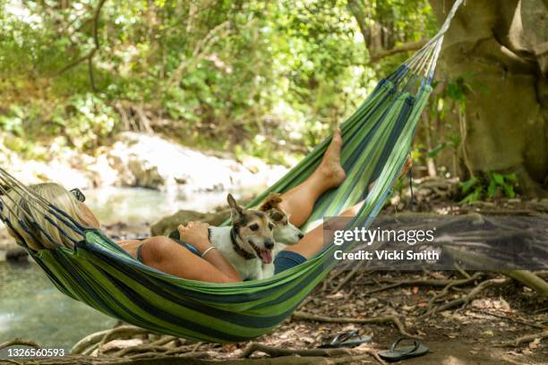 one lady and two jack russell dogs lying in a green hammock beside a river stream - terrier jack russell foto e immagini stock