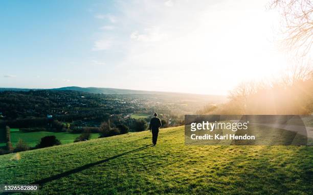 a man is walking on box hill, surrey at sunset - stock photo - surrey england stock pictures, royalty-free photos & images