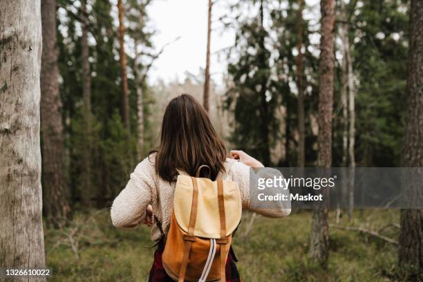 rear view of woman exploring in forest during vacation - svensk skog bildbanksfoton och bilder