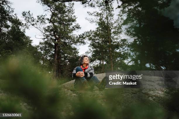 mature woman sitting on mountain amidst tree in forest - forest bathing stock pictures, royalty-free photos & images