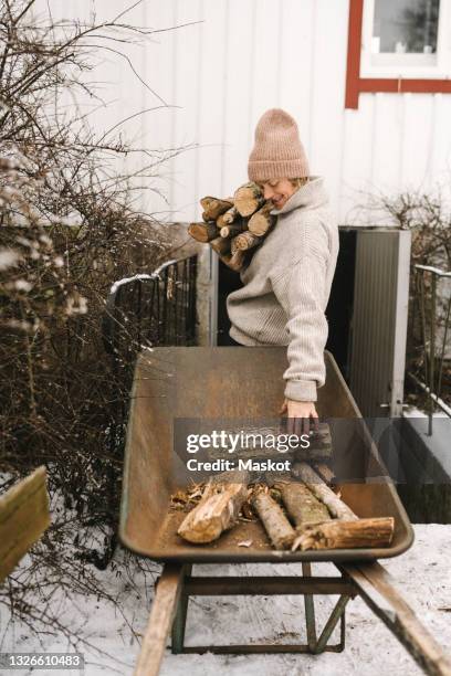 woman collecting firewood from wheelbarrow during winter - brandhout stockfoto's en -beelden