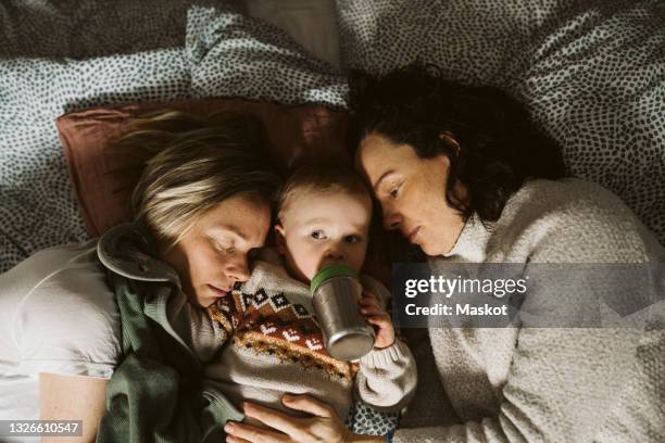girl drinking milk while lying amidst lesbian mothers on bed at home - lesbian bed stock pictures, royalty-free photos & images