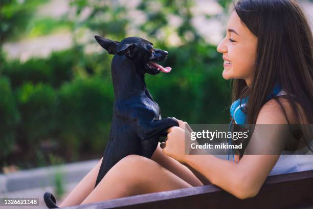 teenager-mädchen zu fuß mit einem hund im park. - pet adoption stock-fotos und bilder