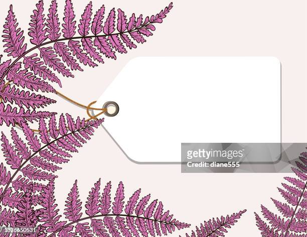 elegant fern wedding invitation template - text box stock illustrations