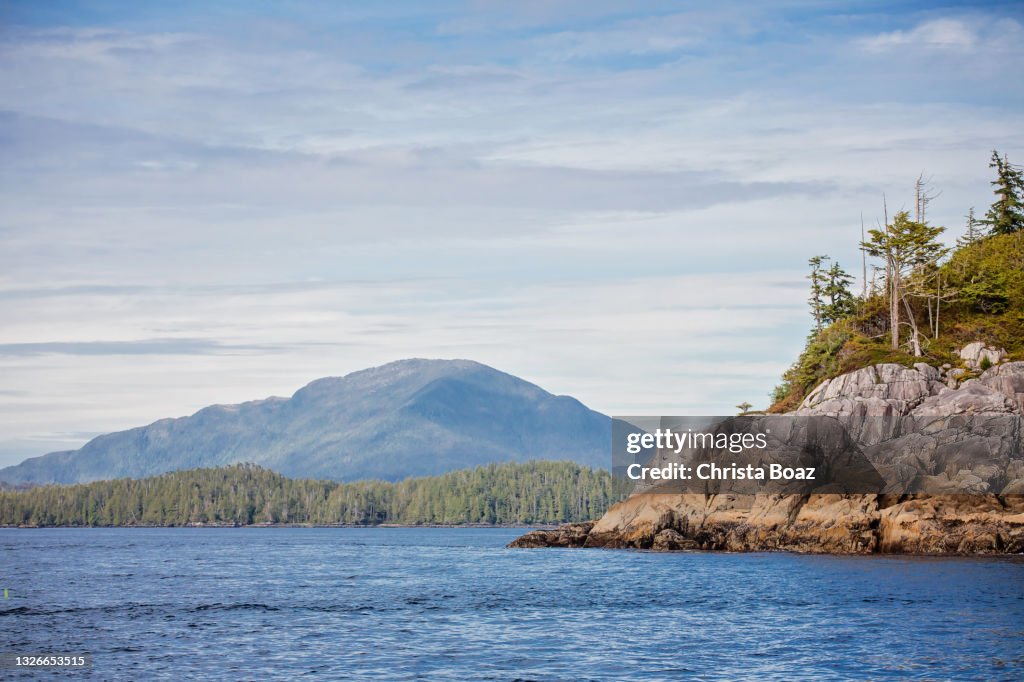 Central Coast BC Shoreline