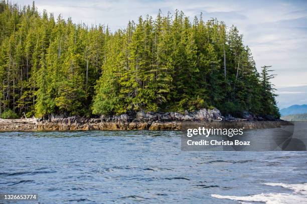 central coast bc shoreline - great bear rainforest stock pictures, royalty-free photos & images