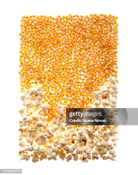 Popcorn Kernel Profile Popcorn Kernel Photos and Premium High Res Pictures - Getty Images