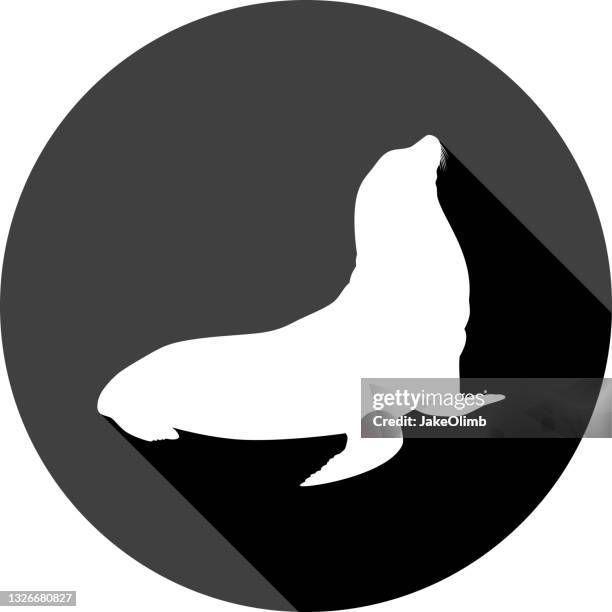 sea lion icon silhouette - sea lion stock illustrations