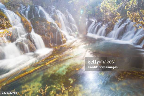 amazing view of sparking water among in autumn season jiuzhaigou nature (jiuzhai valley national park), china. - jiuzhaigou imagens e fotografias de stock