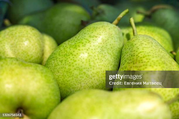 fresh organic green pears pile on supermarket shelf abstract background. fruits pattern. - pear stock pictures, royalty-free photos & images