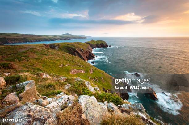 pembrokeshire coastline - st davids stock pictures, royalty-free photos & images