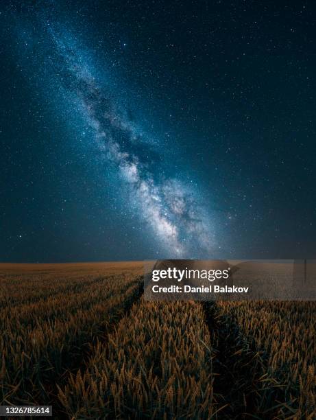 milky way over ripe wheat field and majestic starry sky. agriculture. - wheatgrass stock pictures, royalty-free photos & images