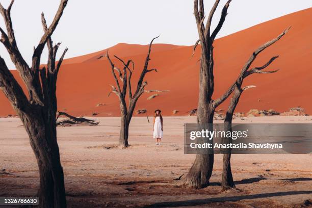 frau reisenderin im kleid, die die malerische wüstenlandschaft mit bäumen und sanddünen bei sonnenaufgang in sossuvlei, namibia erkundet - namib desert stock-fotos und bilder