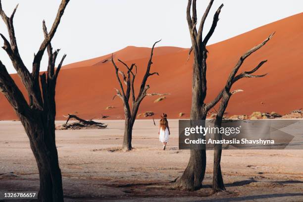 woman traveler in dress exploring the scenic desert landscape with trees and sand dunes during sunrise in sossuvlei, namibia - sossusvlei stock pictures, royalty-free photos & images