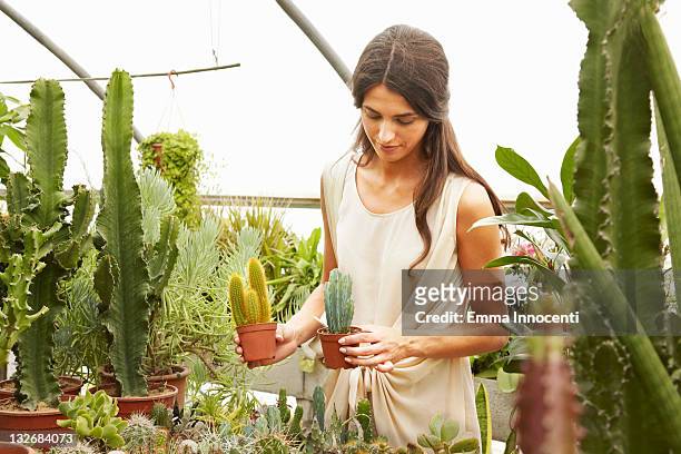 woman comparing cactuses in garden centre - cactus plant stockfoto's en -beelden
