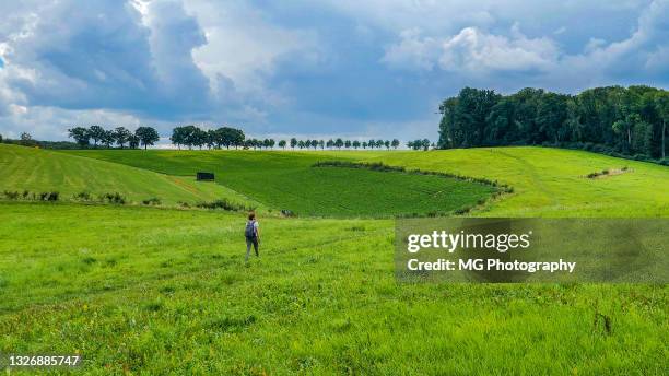foto ancha de una mujer excursionista caminando por el prado holandés, provincia de limburgo - limburgo países bajos fotografías e imágenes de stock