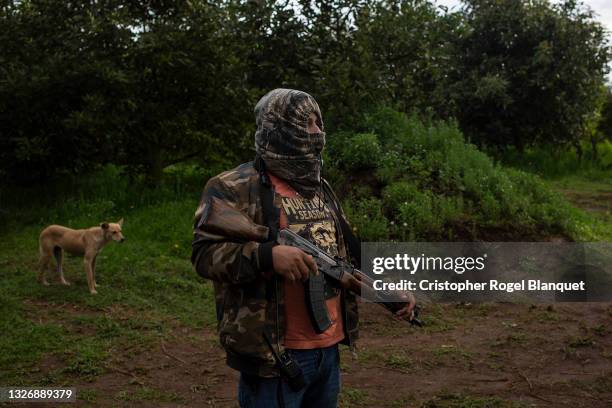 An armed member of Pueblos Unidos guards an avocado orchard on July 4, 2021 in Ario de Rosales, Mexico. Pueblos Unidos is an armed organization...