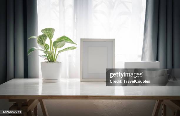 interior poster mock up with vertical frame and plants in vase on white wall background. interior design of living room with whute mock up photo frame on the white shelf with beautiful plants in pots. - indo china border stock pictures, royalty-free photos & images