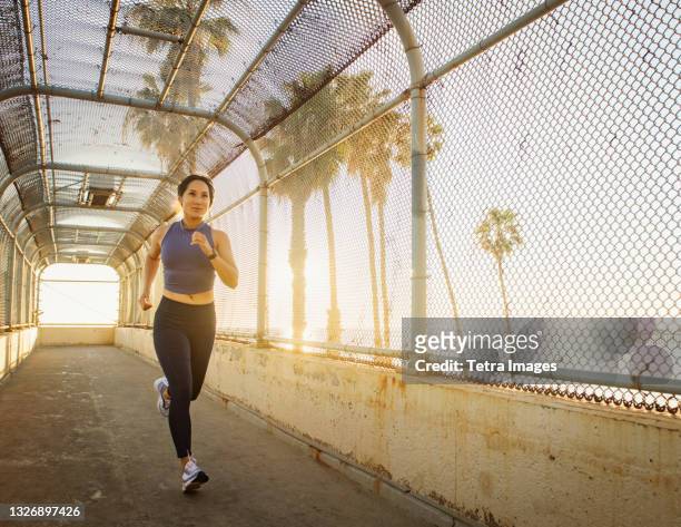woman jogging near beach at sunset - wire mesh fence stock-fotos und bilder
