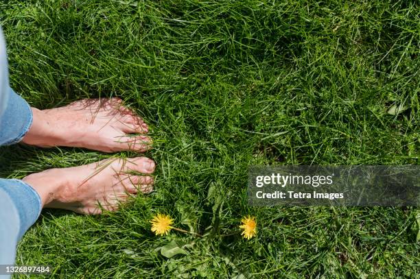 bare feet of woman standing in lush green grass - mens bare feet stockfoto's en -beelden