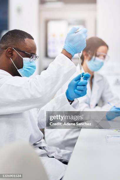 shot of a male lab worker filling a test tube - infectious disease control stock pictures, royalty-free photos & images