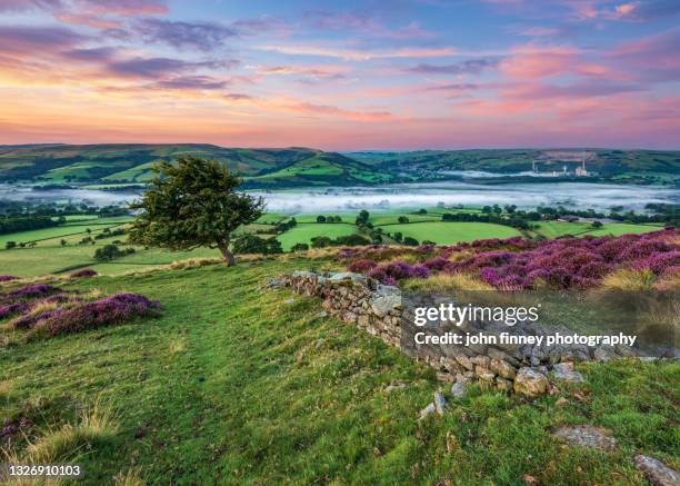 Purple Landscape On Winhill And Bamford At Dawn Peak District Uk High ...