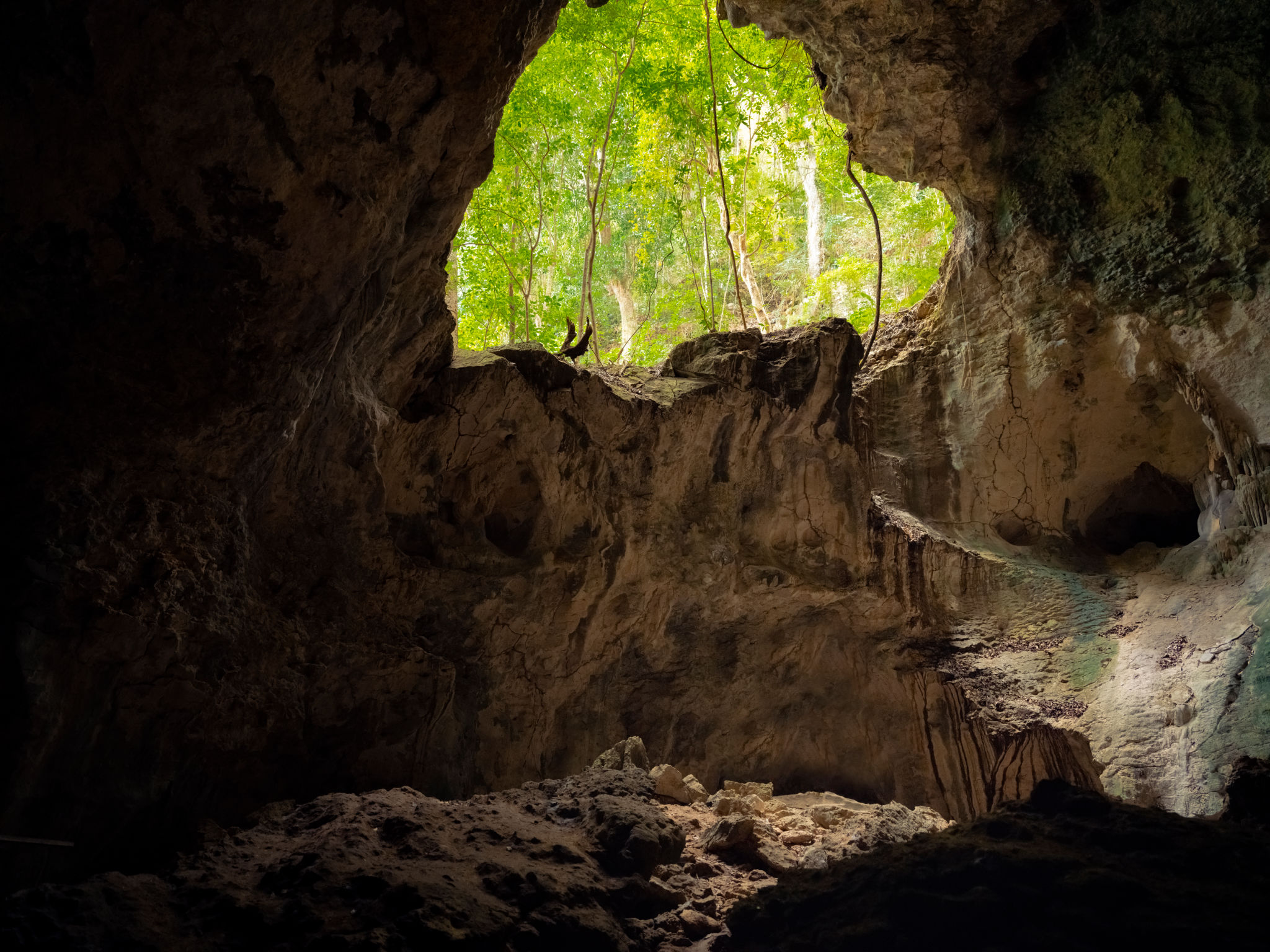 dominican cave