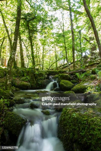 long exposure of stream in dartmoor - off the beaten path englische redewendung stock-fotos und bilder