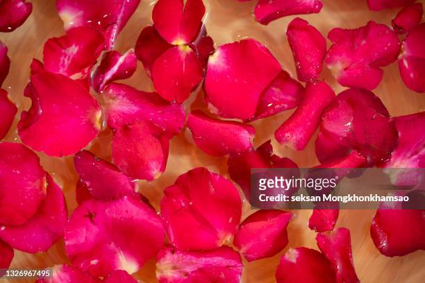red rose petals in a bowl in a spa salon - white rose flower spa photos et images de collection