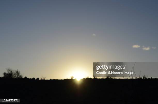 siluetas - siluetas stockfoto's en -beelden